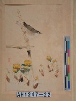 藏品(昭和11年『翠光花鳥版畫集』－鶯福壽草)的圖片